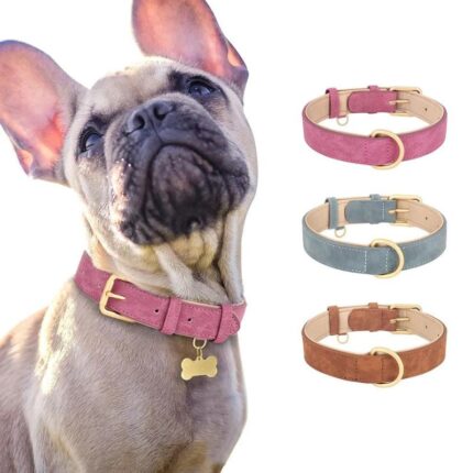 frenchie space shop suede french bulldog collar