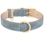 frenchie space shop suede french bulldog collar
