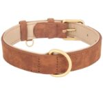 frenchie space shop suede french bulldog collar