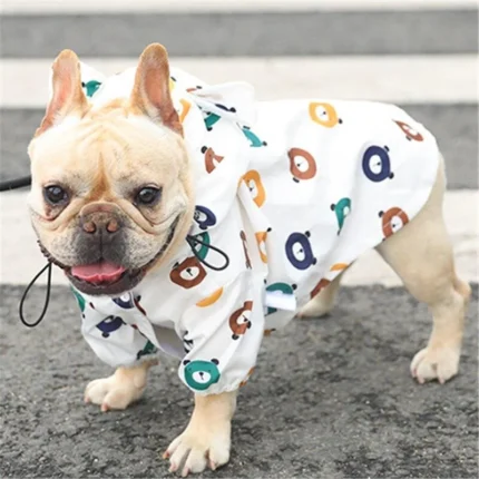 frenchie space shop teddy french bulldog windbreaker