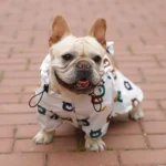 frenchie space shop teddy french bulldog windbreaker