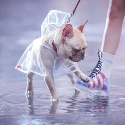 frenchie space shop transparent french bulldog raincoat