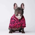 frenchie space shop vogue french bulldog jacket
