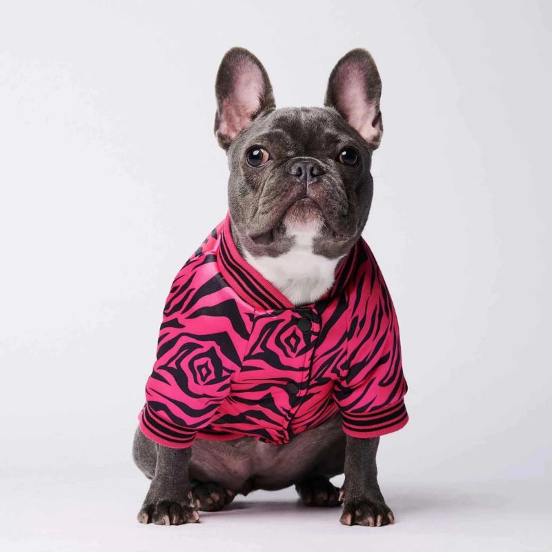 frenchie-space-shop-vogue-french-bulldog-jacket-1 frenchie space shop vogue french bulldog jacket