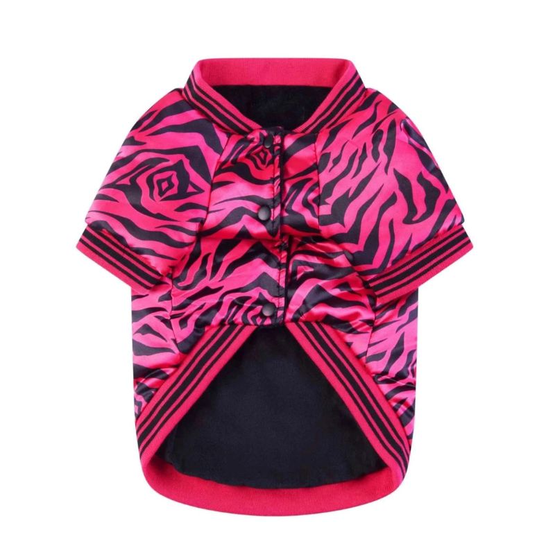 frenchie space shop vogue french bulldog jacket