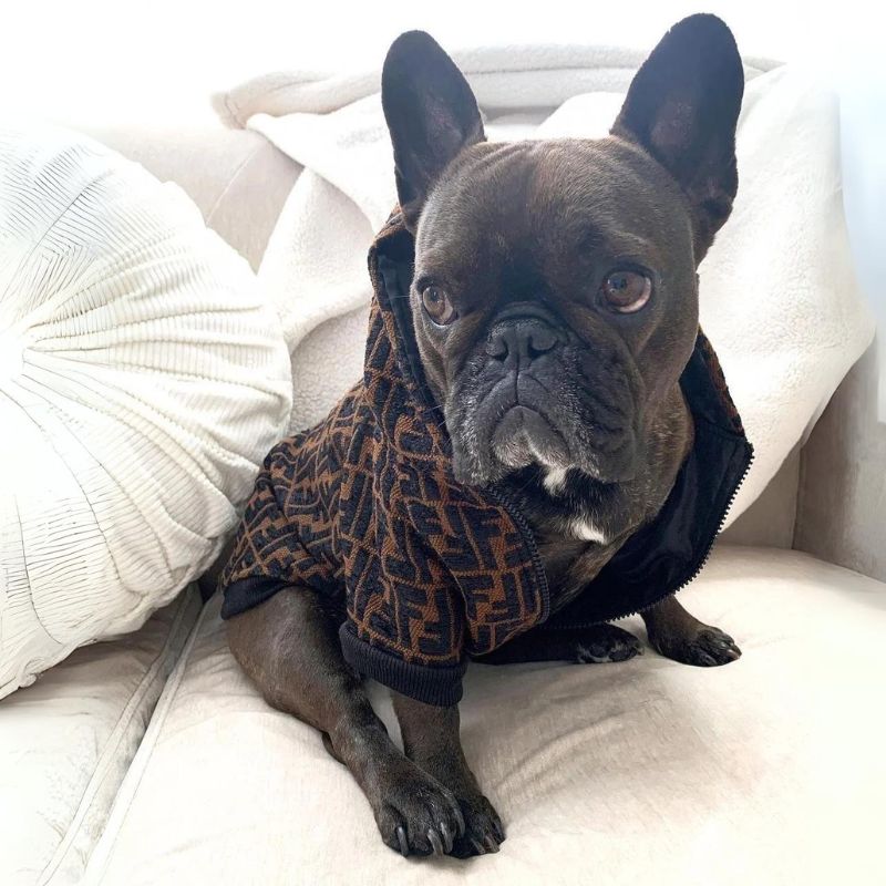 frenchie-space-shop-warmchoco-frenchie-jacket-6 frenchie space shop warmchoco frenchie jacket