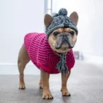 frenchie space shop winter french bulldog beanie