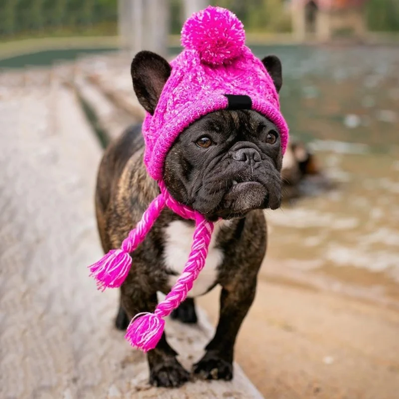 frenchie space shop winter french bulldog beanie