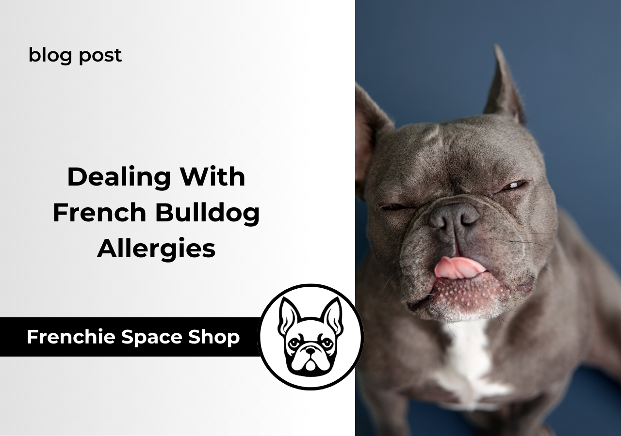 allergic frenchies