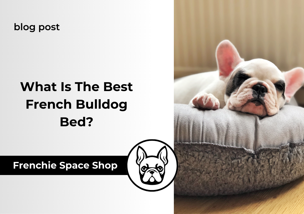 french bulldog beds