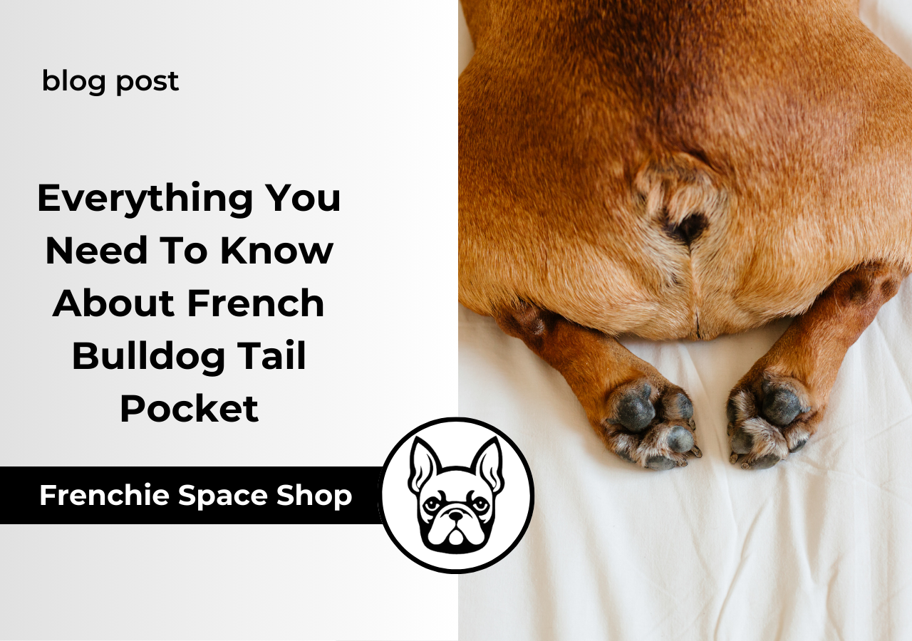 french bulldog tail pocket