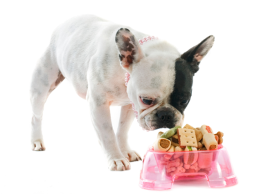 diet for a frenchie