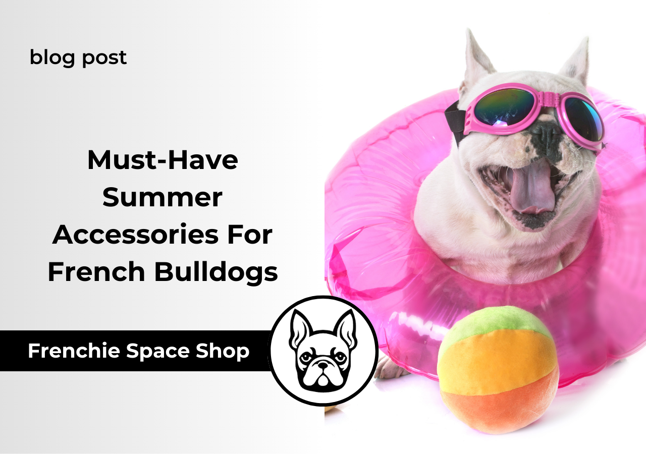 frenchie essentials