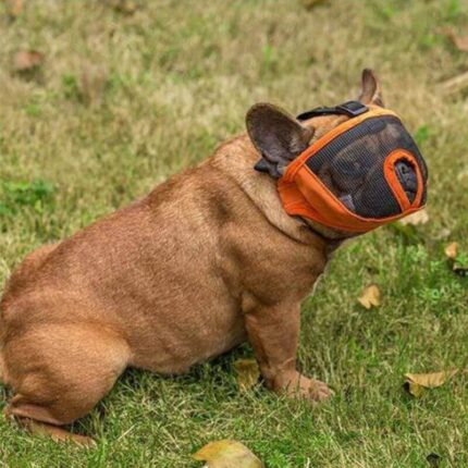 frenchie space french bulldog mesh muzzle