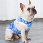 frenchie space french bulldog summer vest