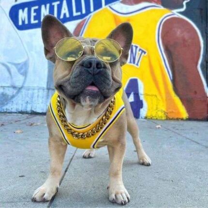 frenchie space shop basketball french bulldog vest