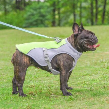 frenchie space shop cooling french bulldog vest
