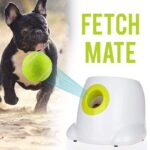 frenchie space shop french bulldog fetch mate