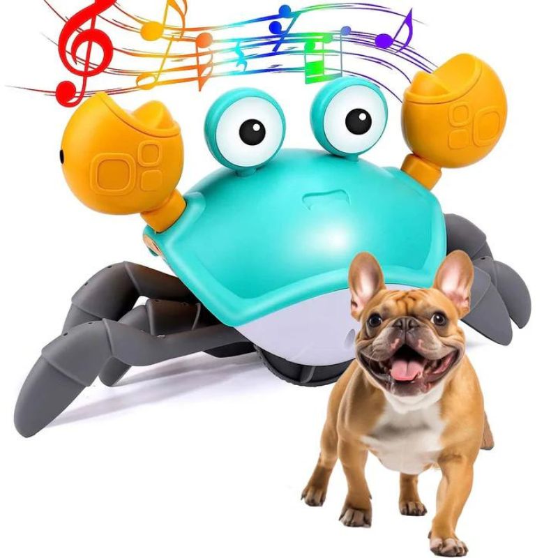 frenchie-space-shop-running-crab-frenchie-toy-5 frenchie space shop running crab frenchie toy