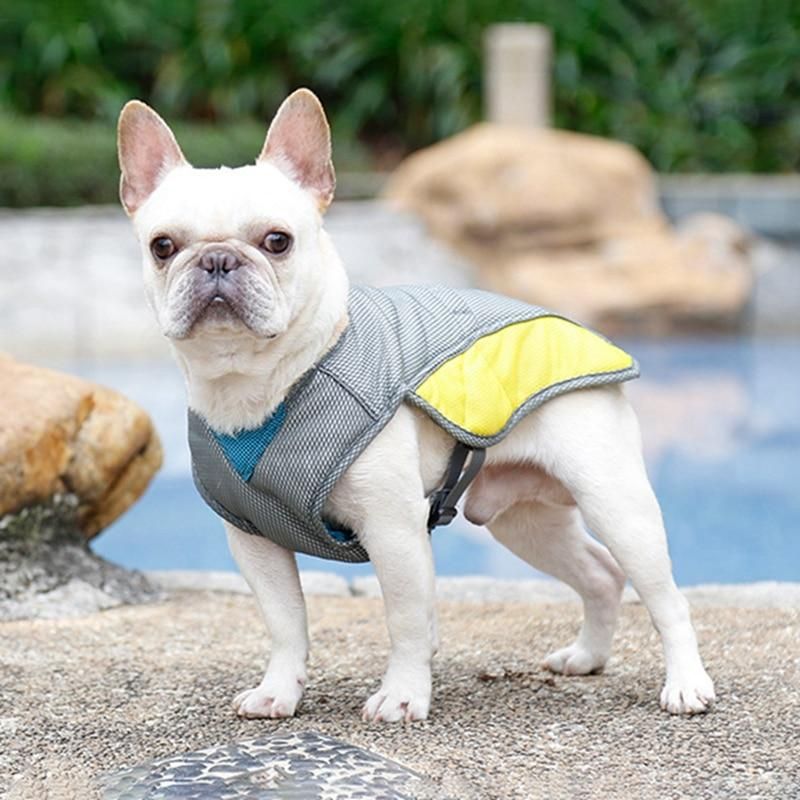 frenchie space shop summer safety frenchie vest
