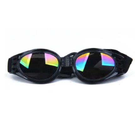 frenchie space shop fench bulldog uv sunglasses