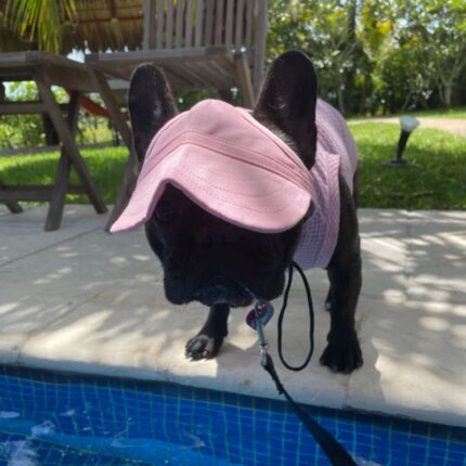 frenchie space shop french bulldog baseball cap