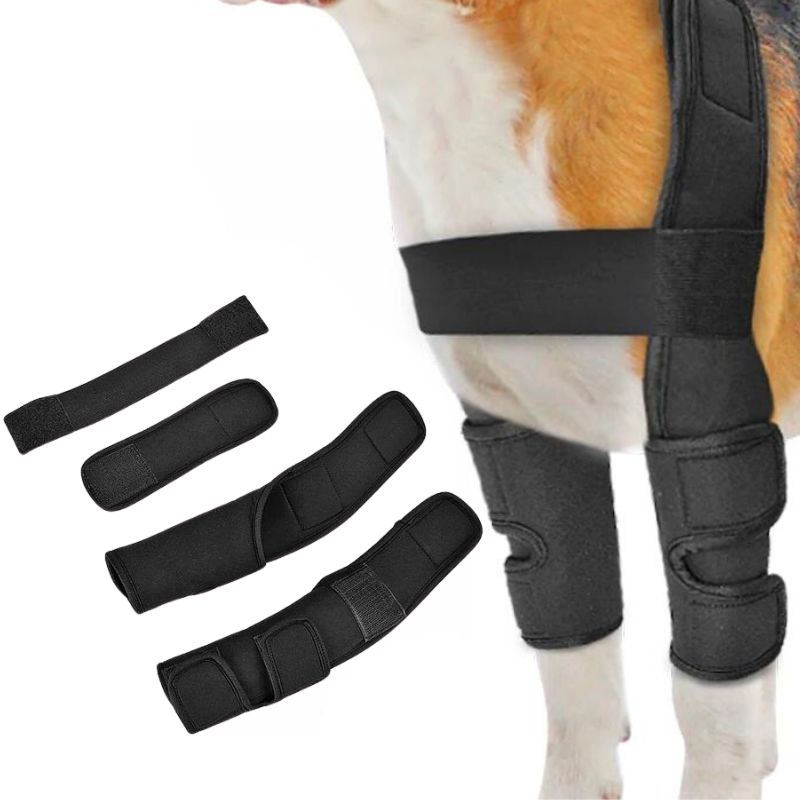 frenchie-space-shop-french-bulldog-knee-brace-3 frenchie space shop french bulldog knee brace