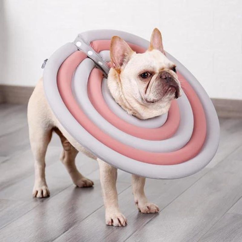 frenchie-space-shop-french-bulldog-protective-e-collar-10 frenchie space shop french bulldog protective e-collar