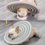 frenchie space shop french bulldog protective e-collar