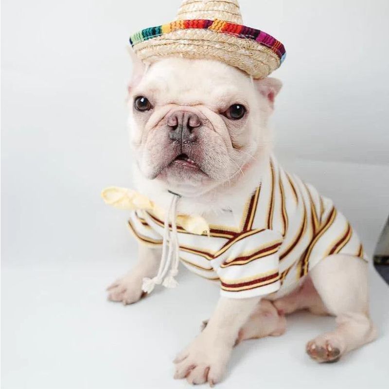frenchie-space-shop-french-bulldog-sombrero-hat-1 French Bulldog Sombrero Hat - Image 1