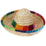 frenchie space shop french bulldog sombrero hat