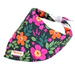 frenchie space shop french bulldog summer bandana