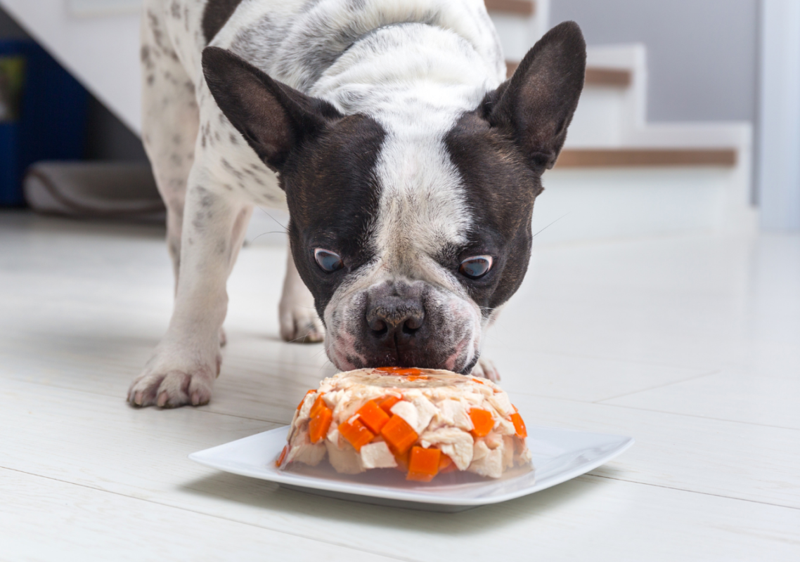 french bulldog farts