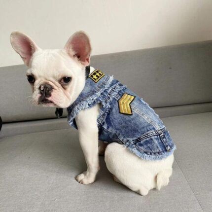 frenchie space shop french bulldog denim jacket