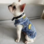 frenchie space shop french bulldog denim jacket
