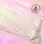 frenchie space shop pearly french bulldog vest