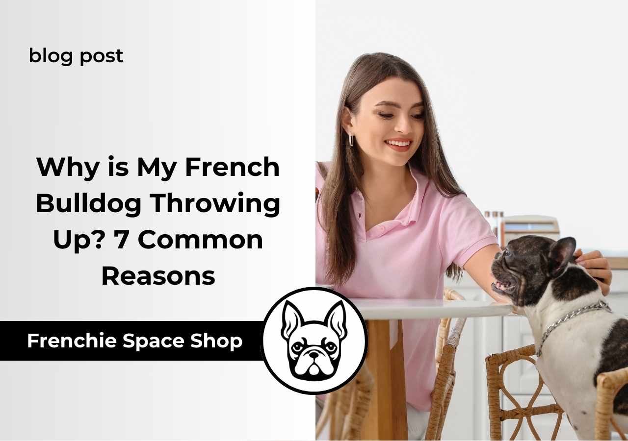 frenchie vomiting