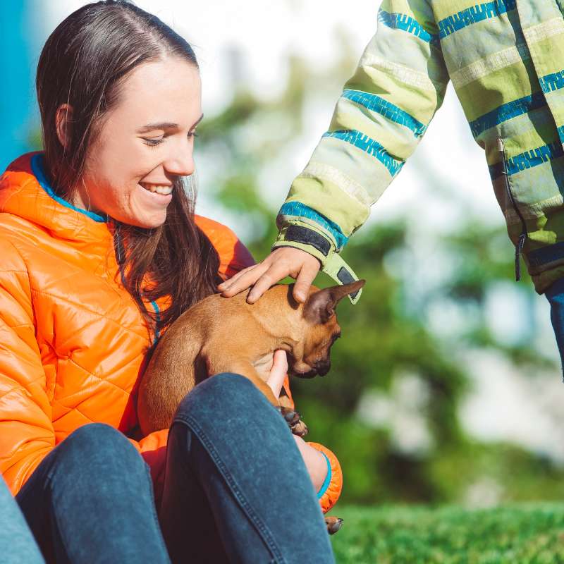french bulldogs and kids frenchie space