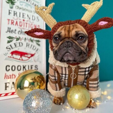 holiday reindeer frenchie hat
