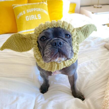 yoda halloween frenchie hat