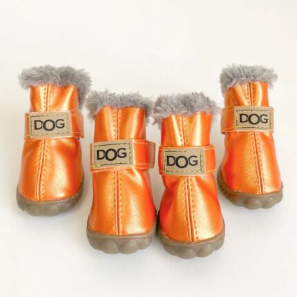 french bulldog winter boots
