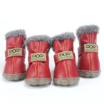 french bulldog winter boots