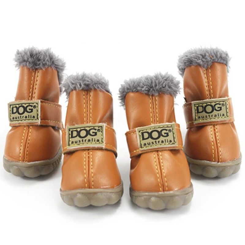 frenchie-space-french-bulldog-winter-boots-8 french bulldog winter boots