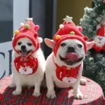 french bulldog christmas beanie