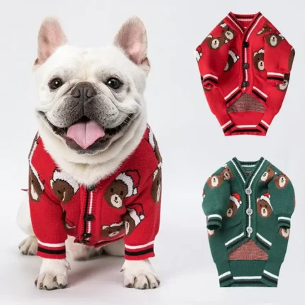 french bulldog teddy cardigan