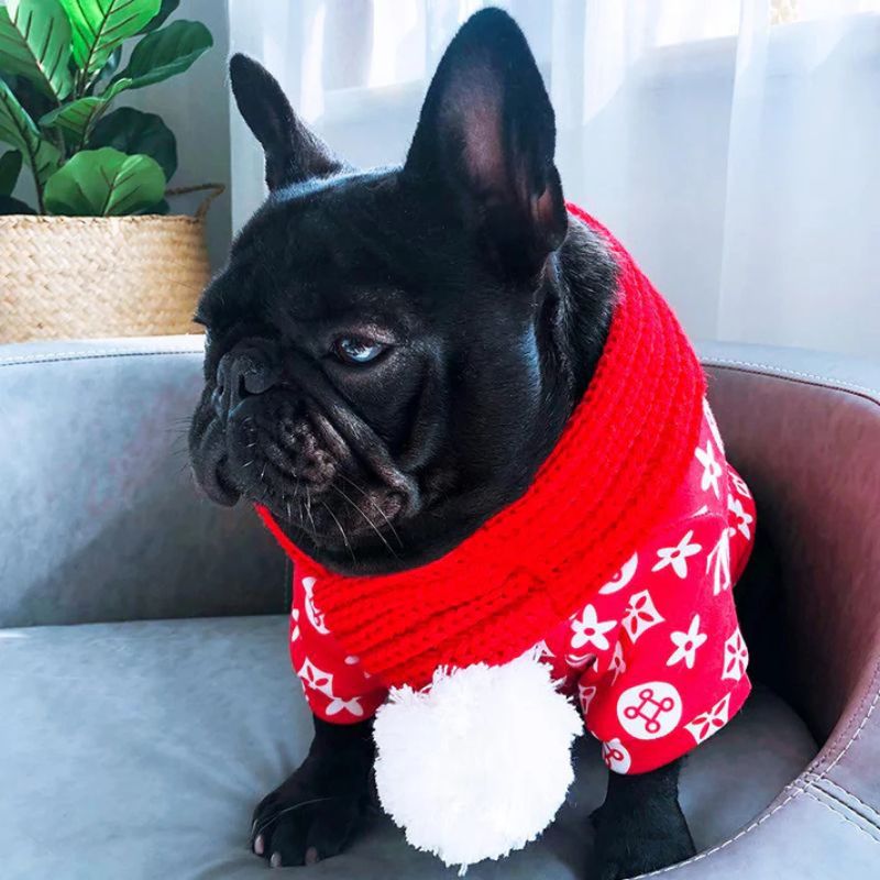 frenchie-space-shop-french-bulldog-winter-scarf-1 frenchie space shop french bulldog winter scarf