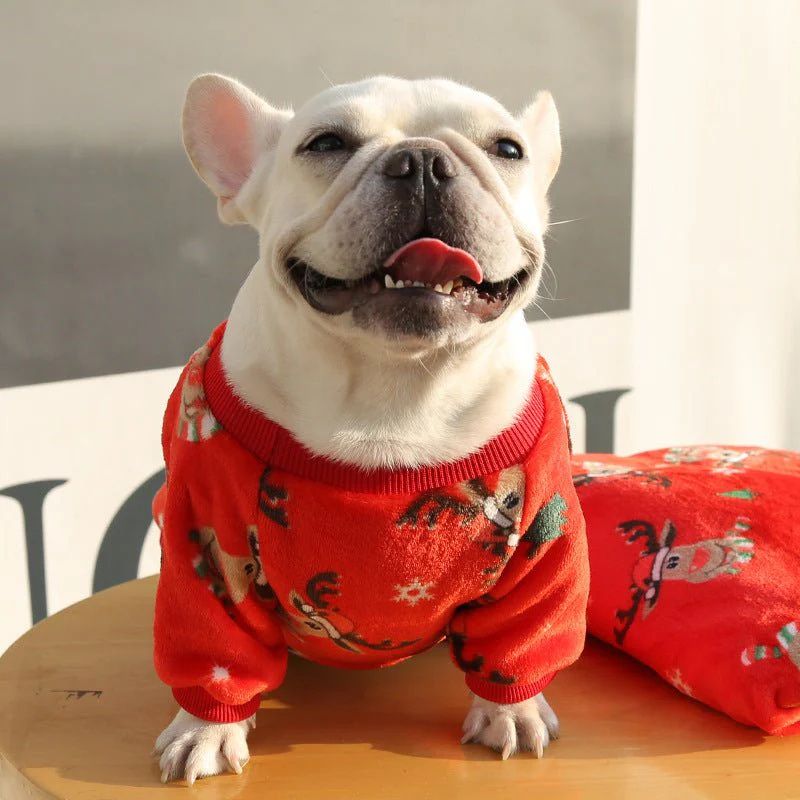 frenchie-space-shop-rudolph-reindeer-frenchie-sweater-2 rudolph reindeer frenchie sweater