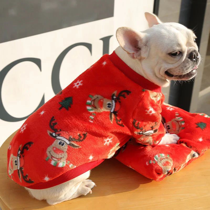 rudolph reindeer frenchie sweater