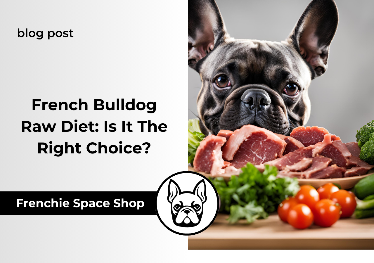French Bulldog Raw Diet Is It The Right Choice