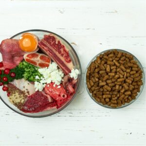 french bulldog raw diet frenchie space
